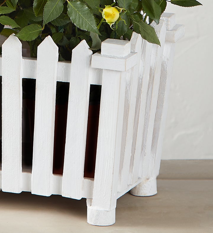 101827alt_view2c