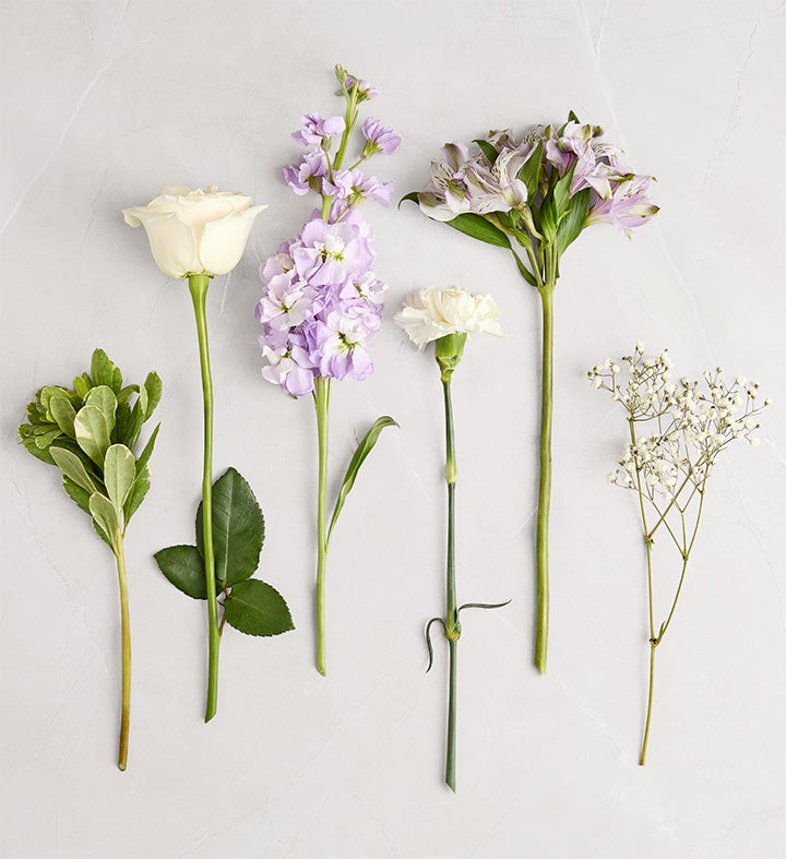 191173_alt2c